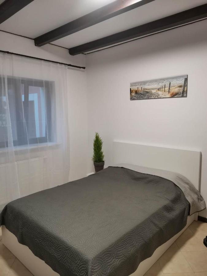 Urocze Studia W Lomiankach, 1- Z Sauna I Tarasem, 2- Z Kominkiem, 3- Ekonomiczne, 7Km Metro Mlociny Warszawa Łomianki Εξωτερικό φωτογραφία