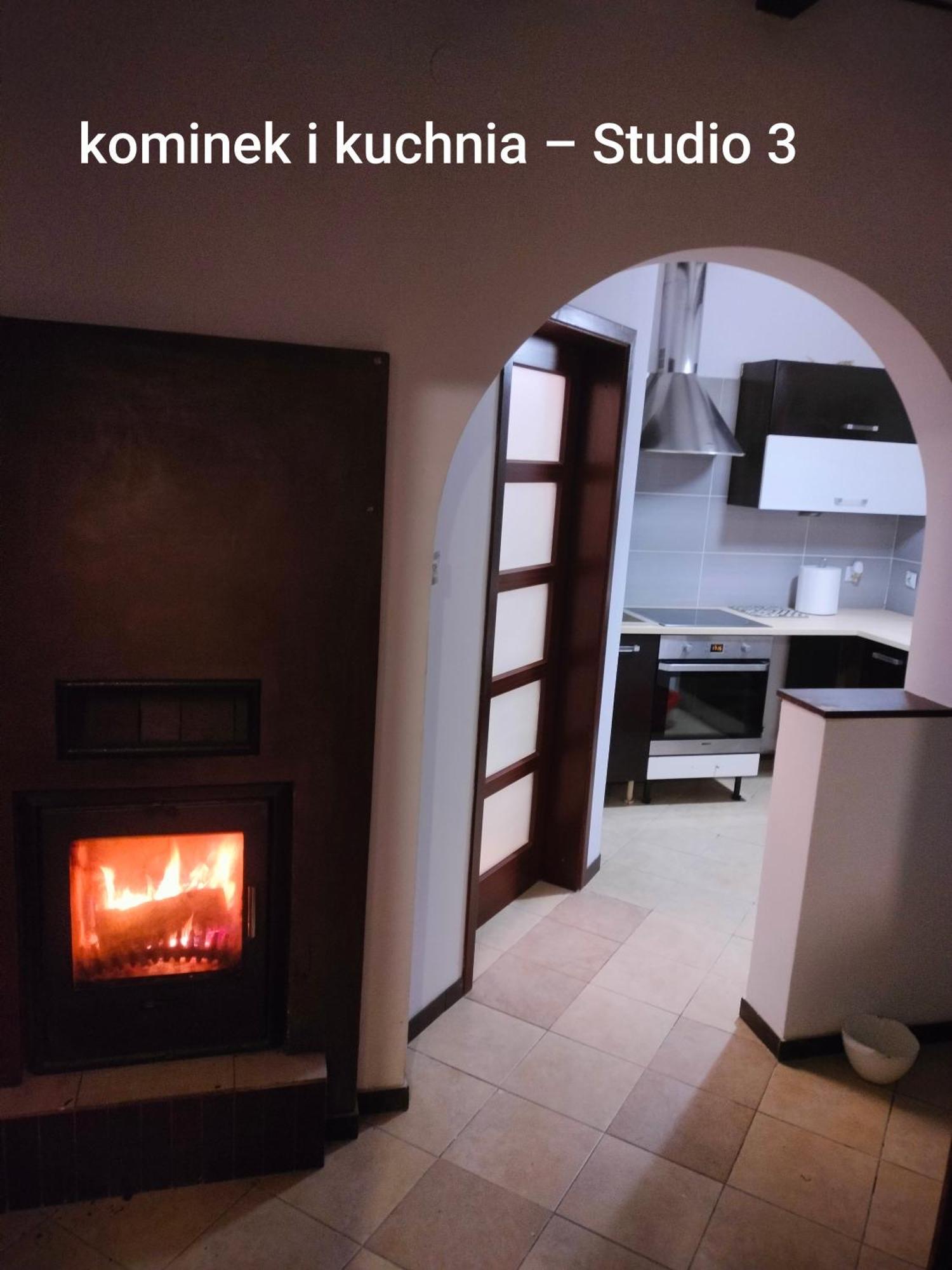 Urocze Studia W Lomiankach, 1- Z Sauna I Tarasem, 2- Z Kominkiem, 3- Ekonomiczne, 7Km Metro Mlociny Warszawa Łomianki Εξωτερικό φωτογραφία